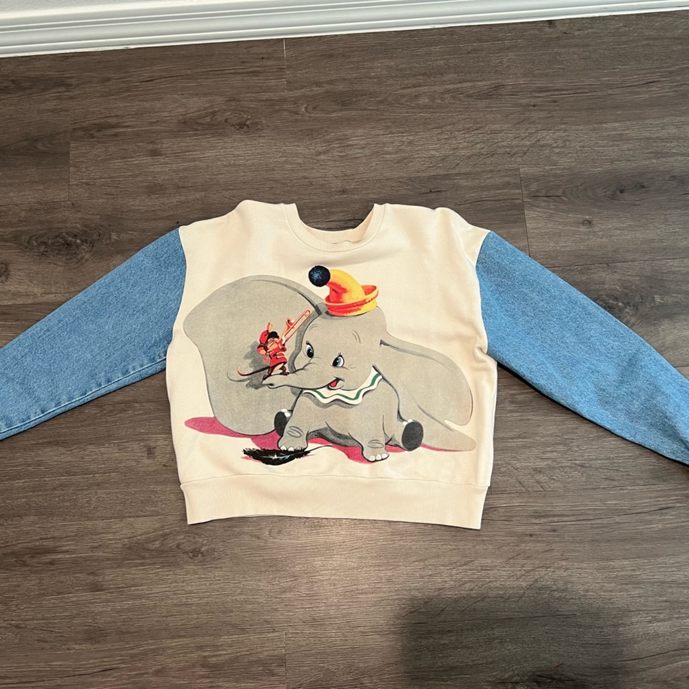 Dumbo Denim top (ZARA)